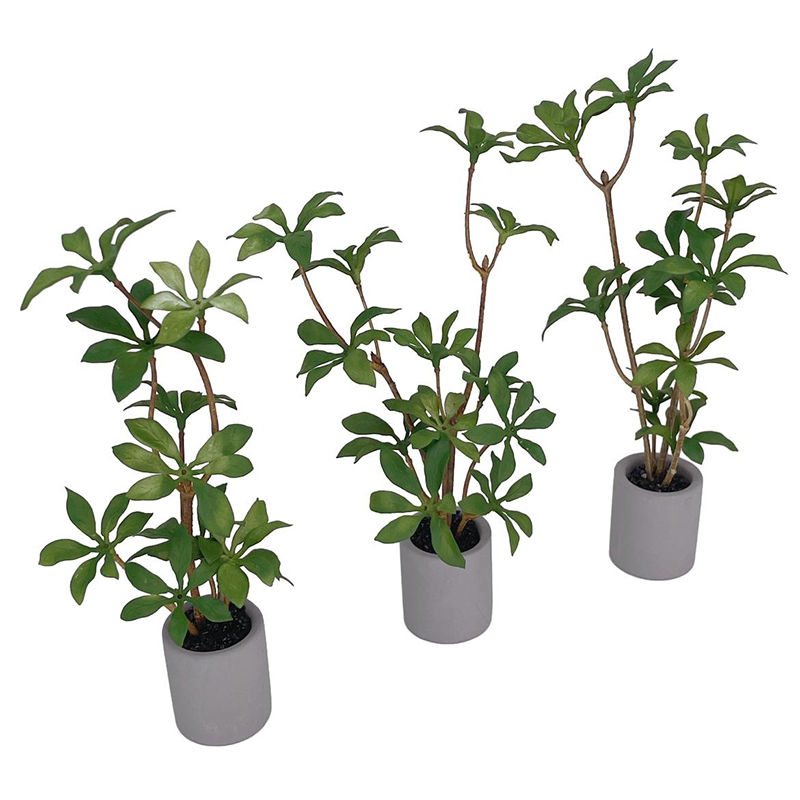 1:6 Dollhouse Miniature กระถาง - Bonsai Garden Miniature บทวิจารณ์และราคา