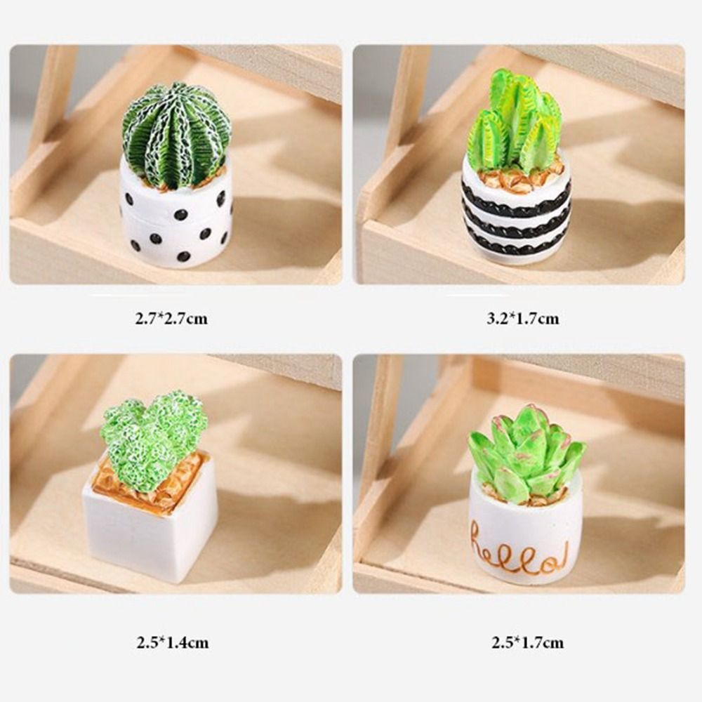 1:12 Dollhouse Miniature Potte - Bonsai Garden Miniature บทวิจารณ์และราคา